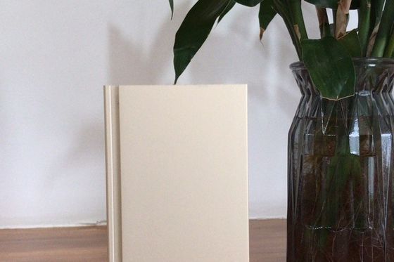 매월 공급 용량 900 톤의 마누날 산화 생산 라인